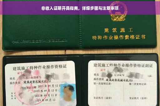 非收入证明开具指南，详细步骤与注意事项