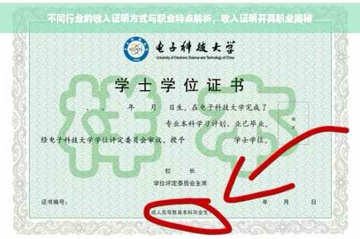 不同行业的收入证明方式与职业特点解析，收入证明开具职业揭秘