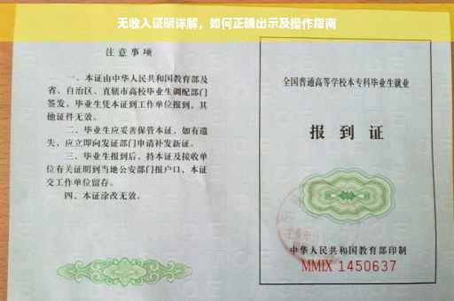 无收入证明详解，如何正确出示及操作指南