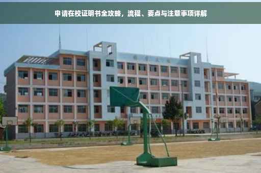 申请在校证明书全攻略，流程、要点与注意事项详解