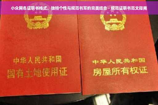 小众网名证明书格式，独特个性与规范书写的完美结合 - 规范证明书范文指南