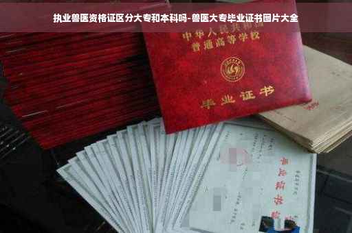 执业兽医资格证区分大专和本科吗-兽医大专毕业证书图片大全