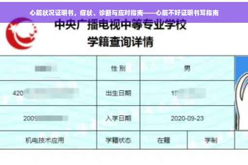 心脏状况证明书，症状、诊断与应对指南——心脏不好证明书写指南