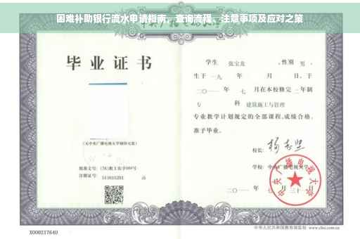 困难补助银行流水申请指南，查询流程、注意事项及应对之策