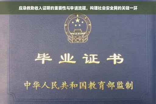 应急救助收入证明的重要性与申请流程，构建社会安全网的关键一环
