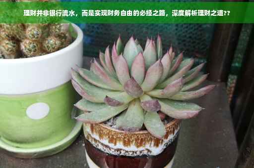理财并非银行流水，而是实现财务自由的必经之路，深度解析理财之道??