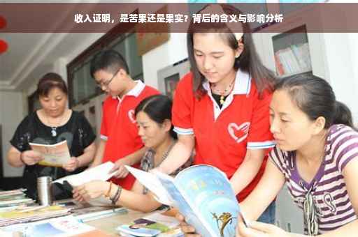 收入证明，是苦果还是果实？背后的含义与影响分析