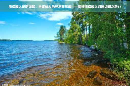 微信收入证明详解，自媒体人的经历与见解——揭秘微信收入归属证明之路??