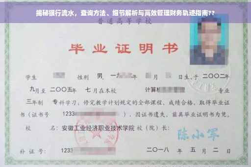揭秘银行流水，查询方法、细节解析与高效管理财务轨迹指南??
