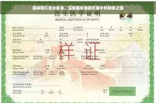揭秘银行流水由来，深度解析金融交易中的秘密之道