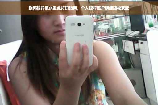 联邦银行流水账单打印指南，个人银行账户明细轻松获取