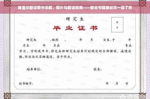 膝盖诊断证明书详解，图片与解读指南——膝关节健康状况一目了然