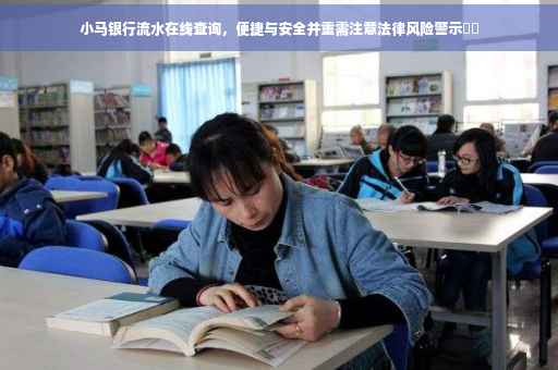 小马银行流水在线查询，便捷与安全并重需注意法律风险警示⚠️