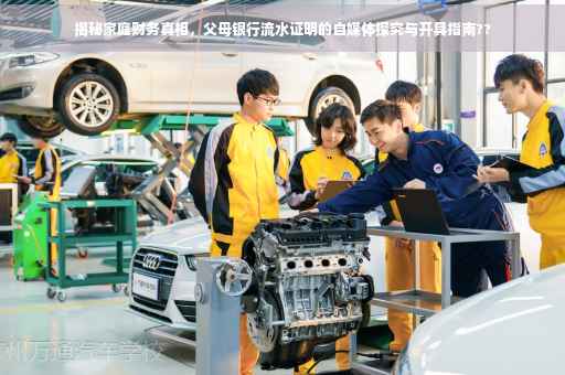 揭秘家庭财务真相，父母银行流水证明的自媒体探究与开具指南??
