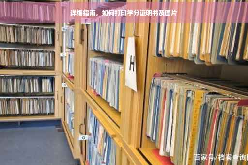 详细指南，如何打印学分证明书及图片
