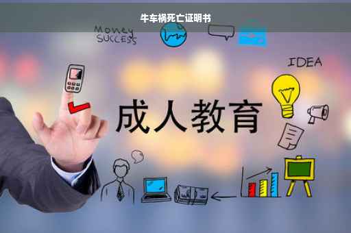 牛车祸死亡证明书