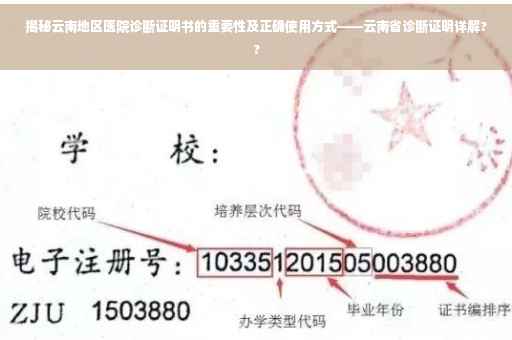 揭秘云南地区医院诊断证明书的重要性及正确使用方式——云南省诊断证明详解??