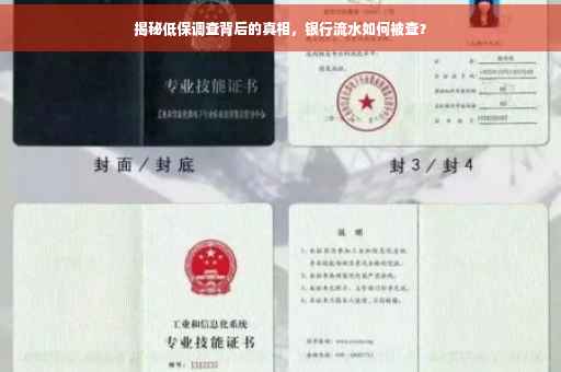 揭秘低保调查背后的真相，银行流水如何被查？