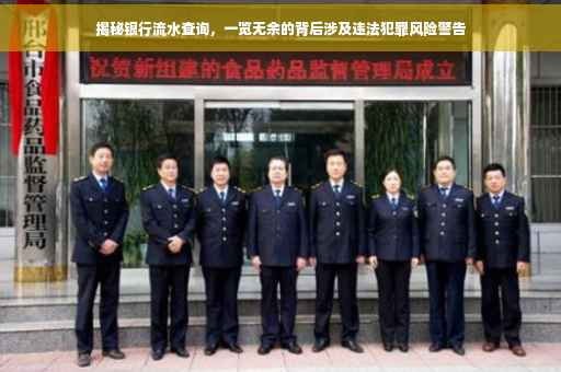 揭秘银行流水查询，一览无余的背后涉及违法犯罪风险警告