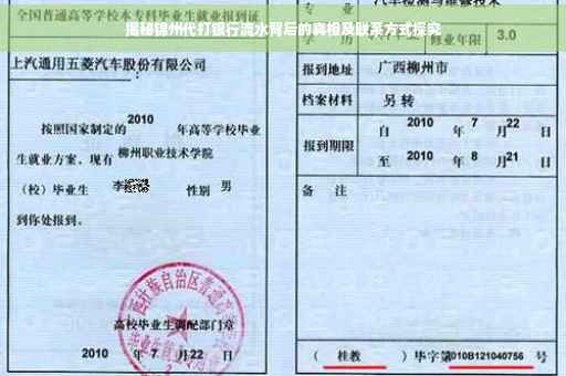 揭秘锦州代打银行流水背后的真相及联系方式探究