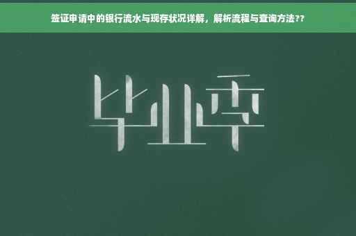 签证申请中的银行流水与现存状况详解，解析流程与查询方法??
