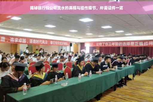 揭秘银行拉公司流水的真相与操作细节，所需证件一览