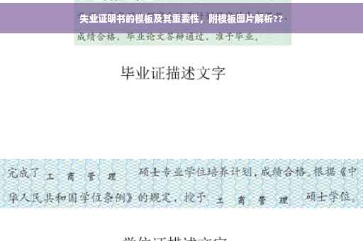 失业证明书的模板及其重要性，附模板图片解析??