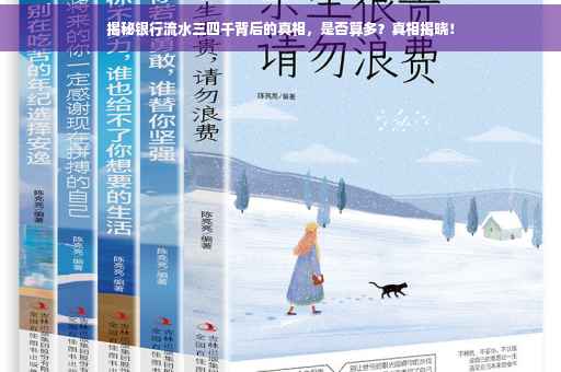 揭秘银行流水三四千背后的真相，是否算多？真相揭晓！