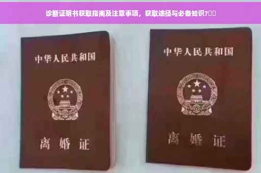 诊断证明书获取指南及注意事项，获取途径与必备知识?⚕️