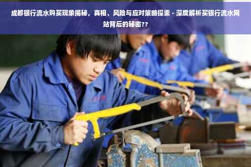 成都银行流水购买现象揭秘，真相、风险与应对策略探索 - 深度解析买银行流水网站背后的秘密??