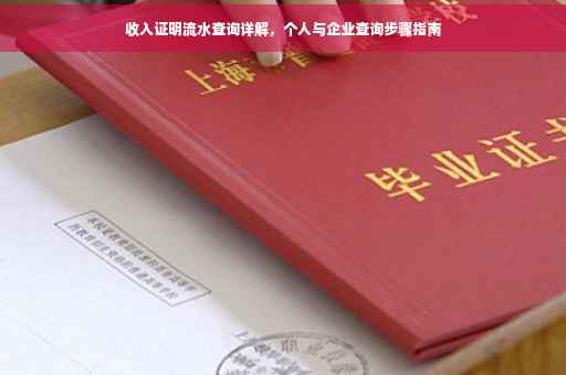 收入证明流水查询详解，个人与企业查询步骤指南