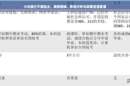 小众银行不查流水，真相揭秘、影响分析与发展前景展望