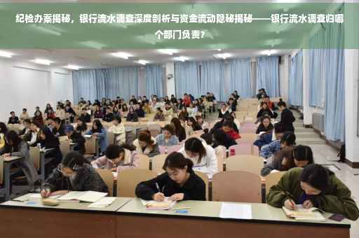 纪检办案揭秘，银行流水调查深度剖析与资金流动隐秘揭秘——银行流水调查归哪个部门负责？