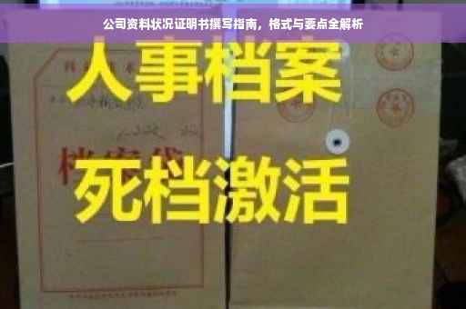 公司资料状况证明书撰写指南，格式与要点全解析