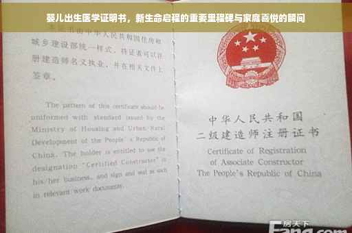 婴儿出生医学证明书，新生命启程的重要里程碑与家庭喜悦的瞬间