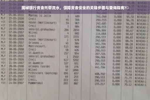 揭秘银行资金托管流水，保障资金安全的关键步骤与查询指南?✨