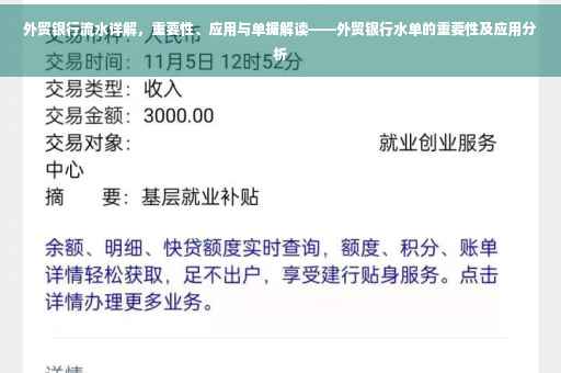 外贸银行流水详解，重要性、应用与单据解读——外贸银行水单的重要性及应用分析