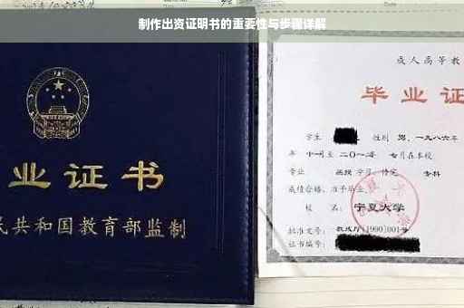 制作出资证明书的重要性与步骤详解