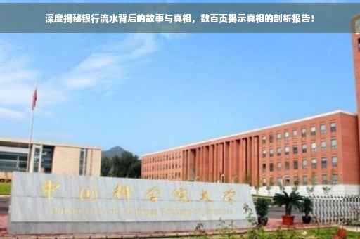 深度揭秘银行流水背后的故事与真相，数百页揭示真相的剖析报告！