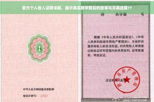 官方个人收入证明详解，揭示真实数字背后的故事与开具流程??
