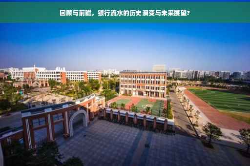 回顾与前瞻，银行流水的历史演变与未来展望?