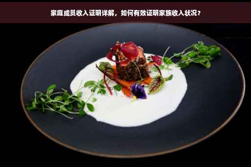 家庭成员收入证明详解，如何有效证明家族收入状况？