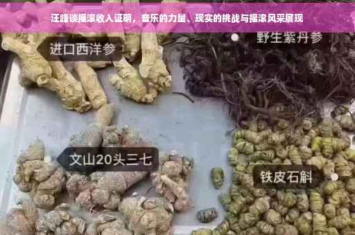 汪峰谈摇滚收入证明，音乐的力量、现实的挑战与摇滚风采展现
