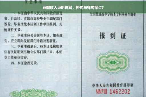 豆瓣收入证明详解，格式与样式探讨?