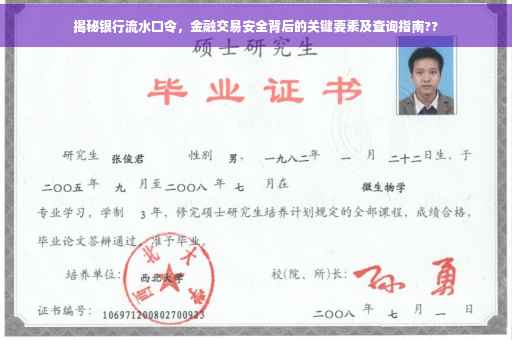 揭秘银行流水口令，金融交易安全背后的关键要素及查询指南??