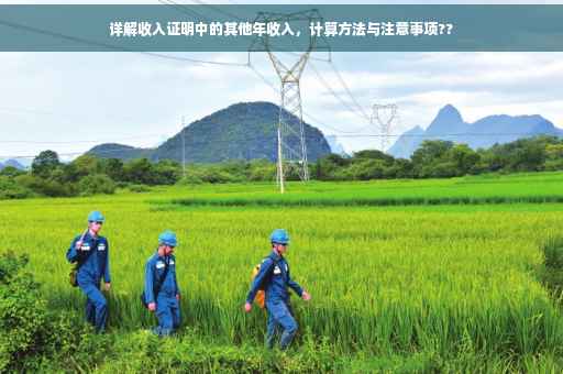 详解收入证明中的其他年收入，计算方法与注意事项??