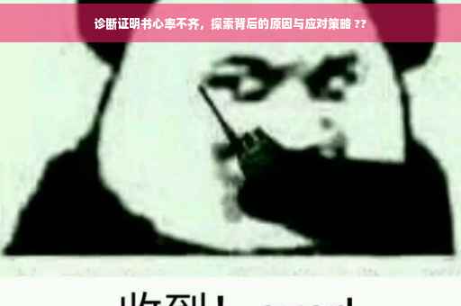 诊断证明书心率不齐，探索背后的原因与应对策略 ??