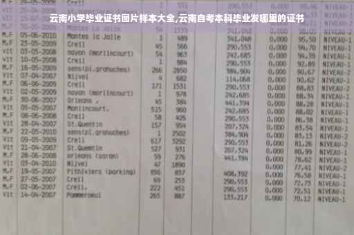 云南小学毕业证书图片样本大全,云南自考本科毕业发哪里的证书
