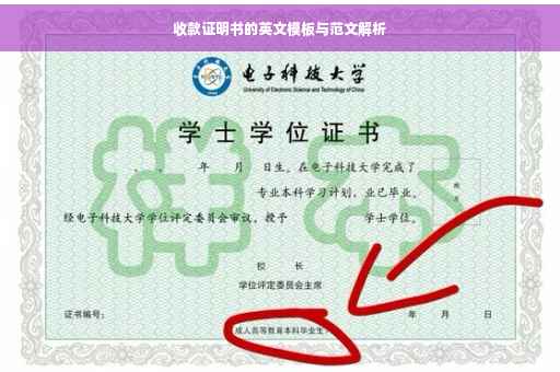 收款证明书的英文模板与范文解析