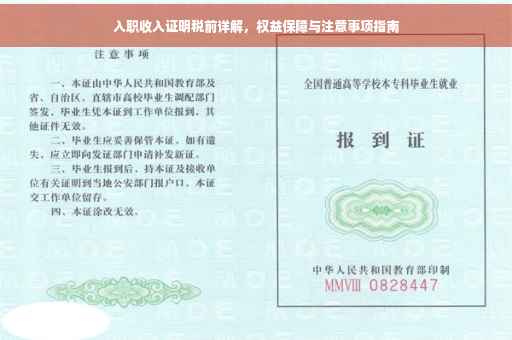 入职收入证明税前详解，权益保障与注意事项指南